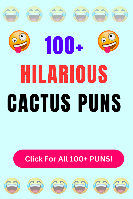 Top 50+ Best Cactus Puns